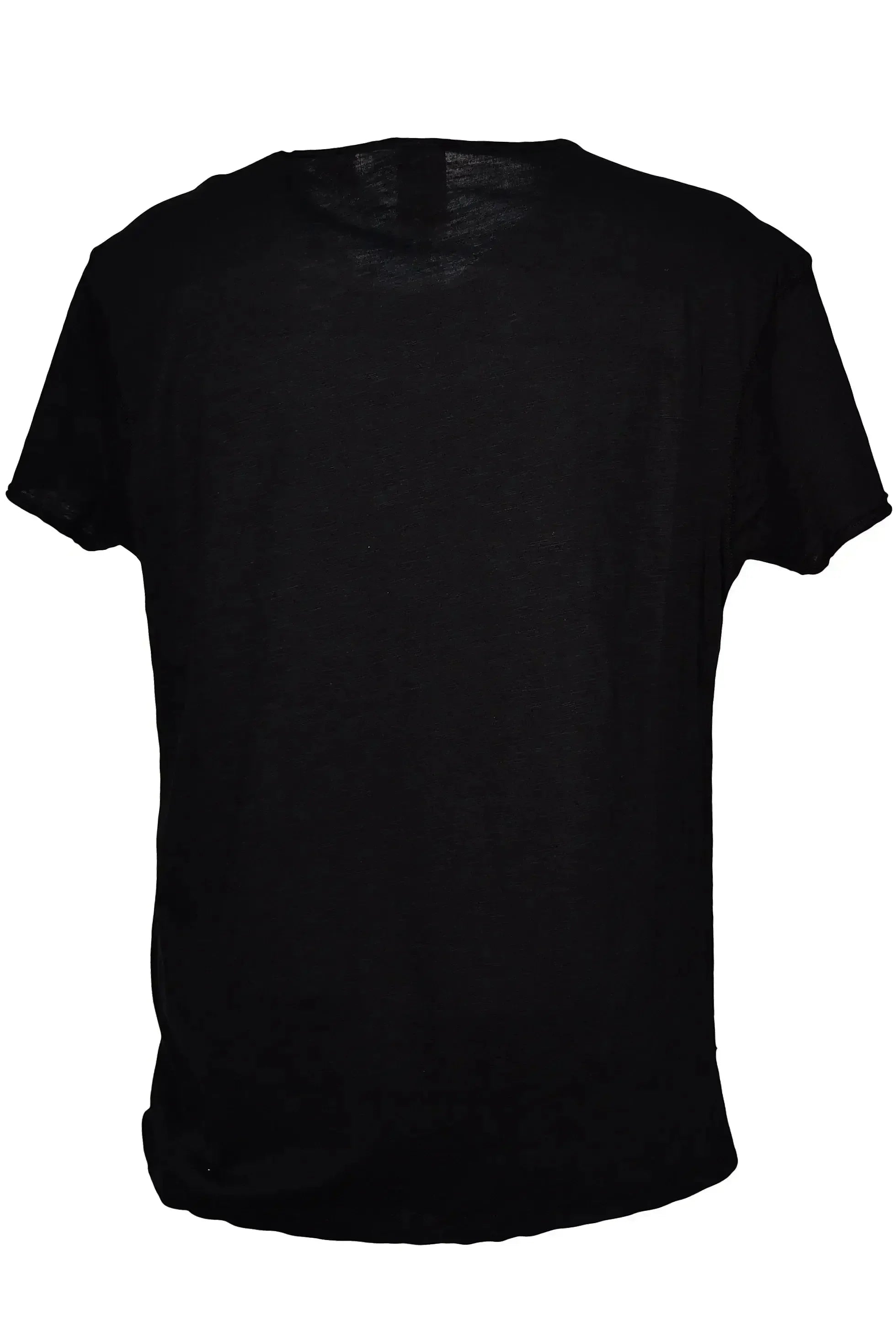 T-Shirt Albert Einstein The Legend Stilizzato Color - Cotone Fiammato Uomo, da dietro, in cotone fiammato.