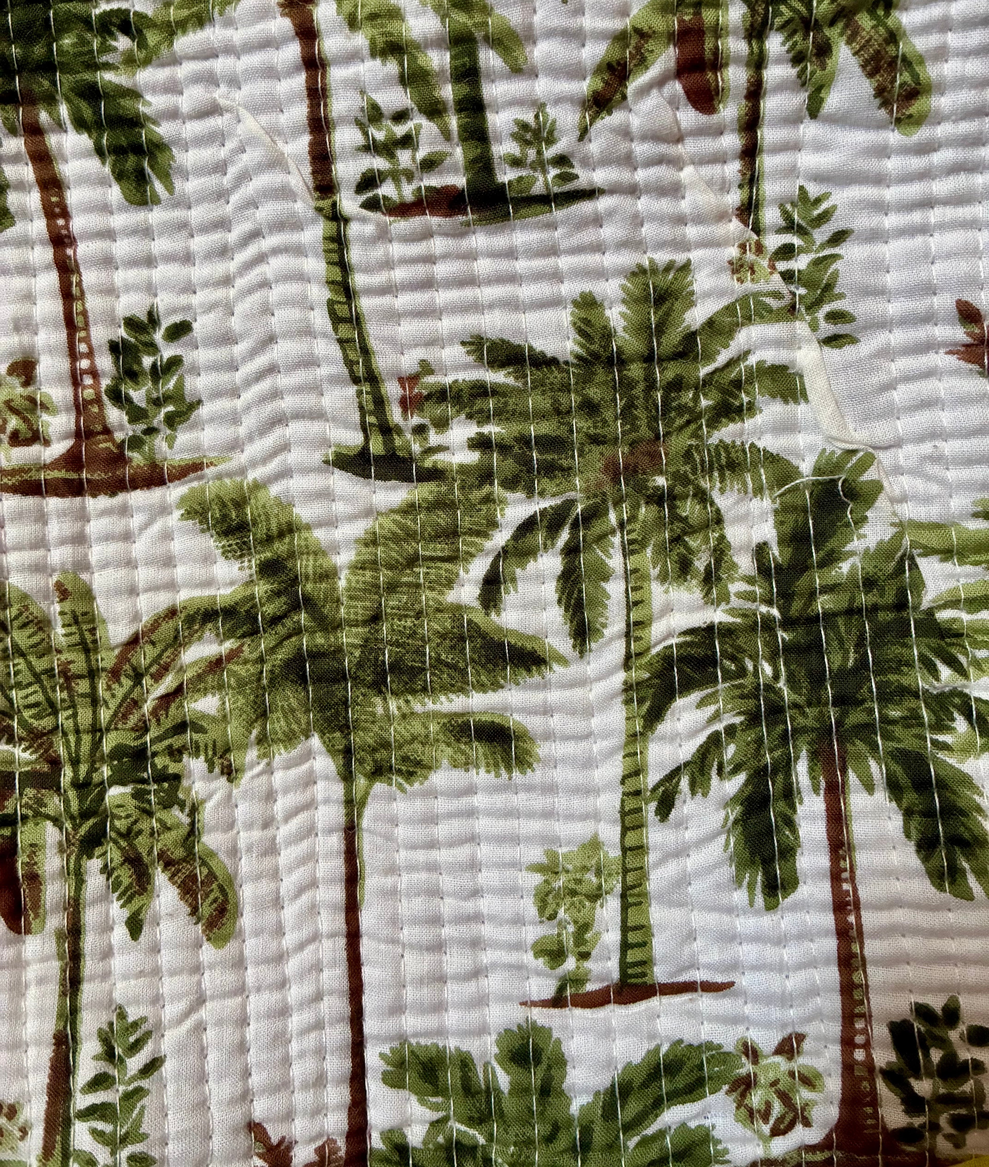 Roary Pouches 🐾 Green Palm