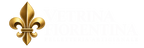 Vetrina Fiorentina  - Home