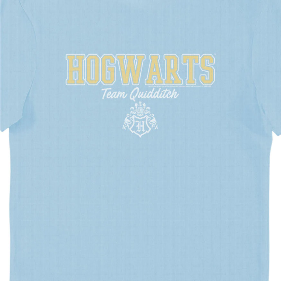 Maglietta Squadra Quidditch Hogwarts Harry Potter - T-Shirt Azzurra Ufficiale