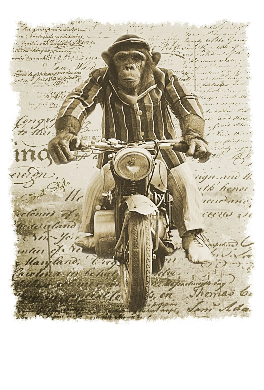 Monkey Dream Moto - T-shirt Uomo Urban 100% Cotone